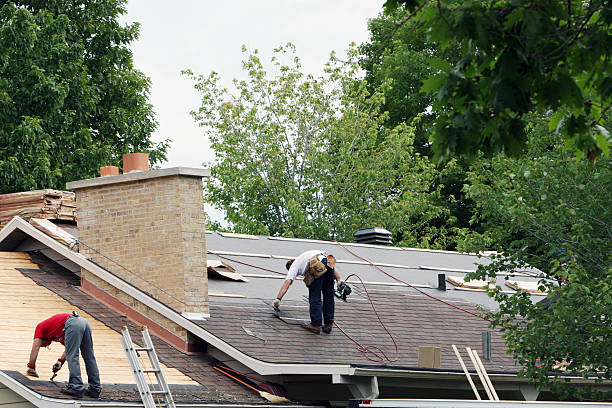 Best Metal Roofing Contractor  in Twin Lakes, CO